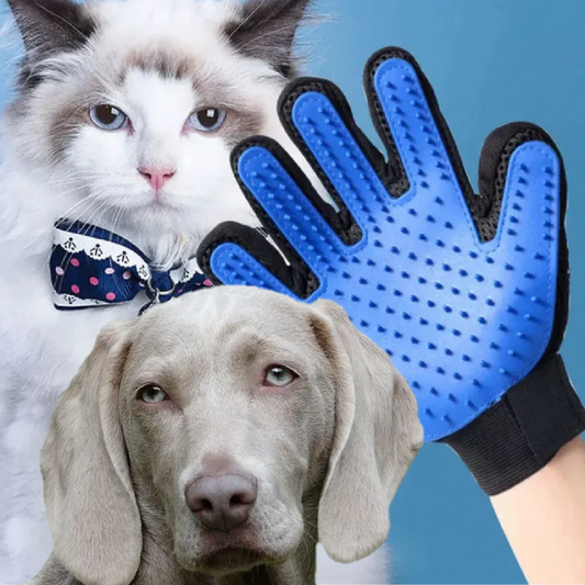 Gant de nettoyage pour chien et chat