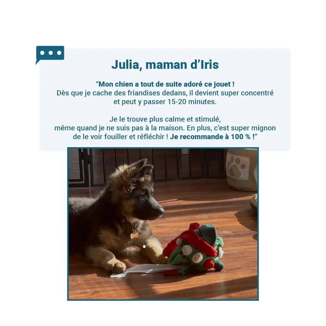 Jouet éducatif – Cache-friandises stimulant